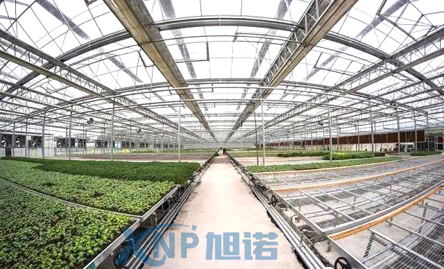 蔬菜温室大棚可以使用91看片APP大全做骨架吗.jpg